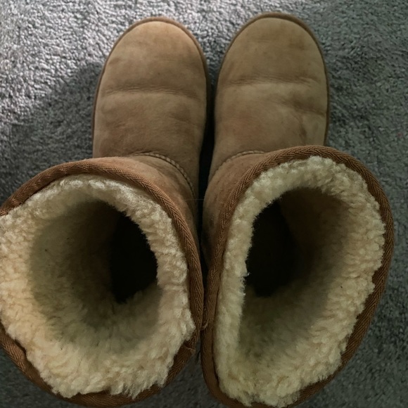 Classic Short Uggs Chestnut - Picture 3 of 3